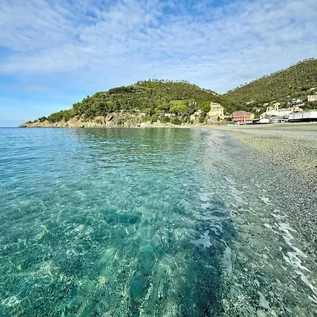 Margherite Vila Merizzo